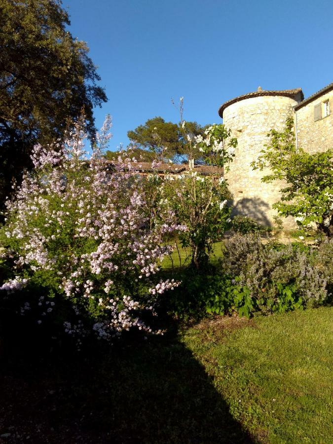 Chateau De Rousson Exterior photo